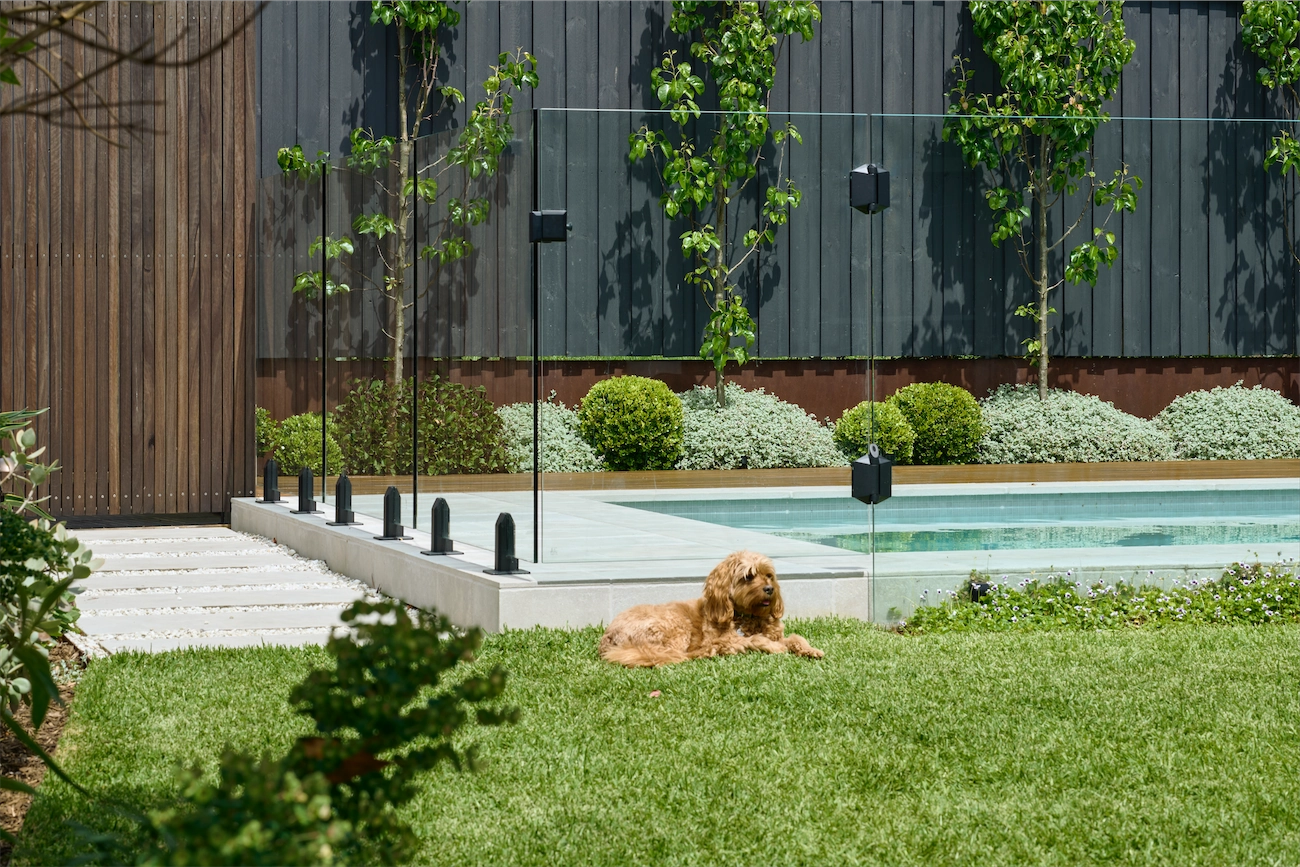 Glass fencing at the Winston Hills Residence
