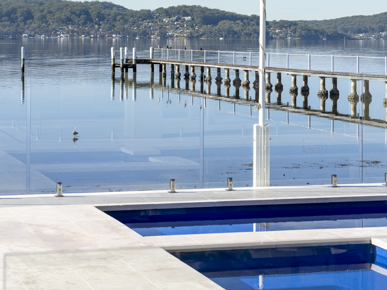 Frameless glass pool fence beside a jetty on Brisbane Water at a Point Clare residence